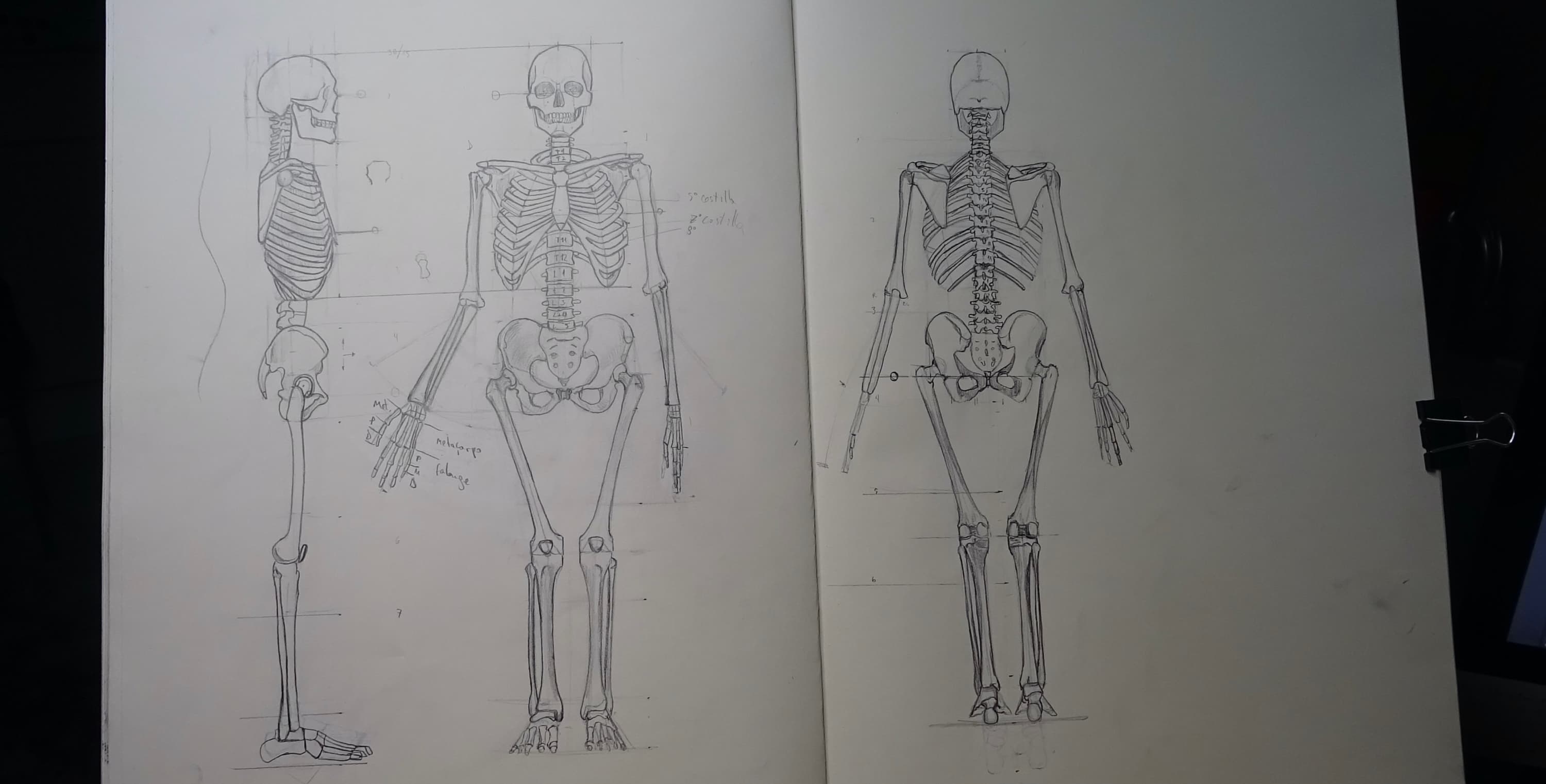 Vista previa del curso